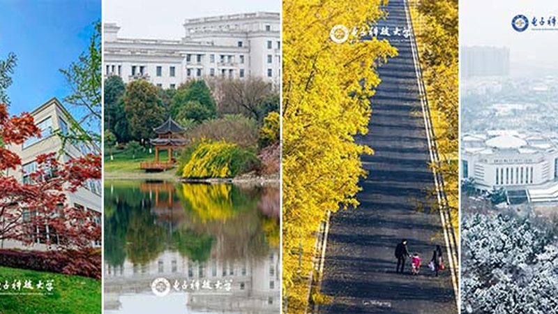 成都电子配件批发：优劣势解析与选购要点
