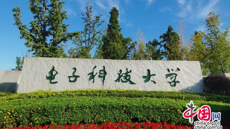 电子元器件芯片批发：揭秘批发报价平台的选择之道**