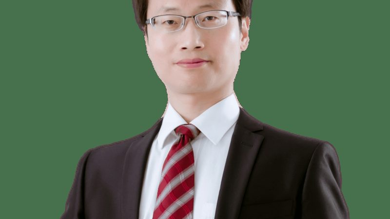 贴片插件与插件哪个更划算？揭秘成本背后的秘密